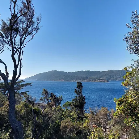 La Terrasse Des Lauriers Sur L'ile Du Levant *