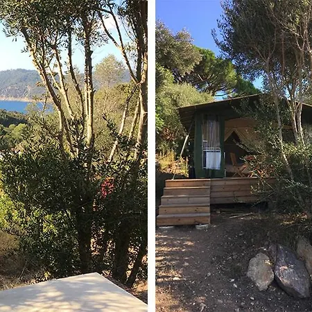 La Terrasse Des Lauriers Sur L'ile Du Levant *