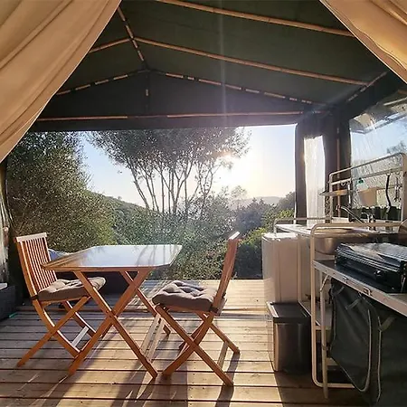 Appartement La Terrasse Des Lauriers Sur L'ile Du Levant