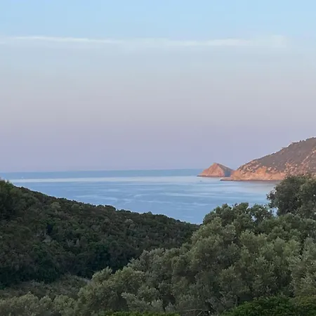 La Terrasse Des Lauriers Sur L'ile Du Levant