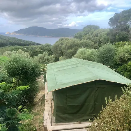 La Terrasse Des Lauriers Sur L'ile Du Levant Appartement *